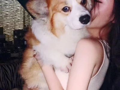Profile preview